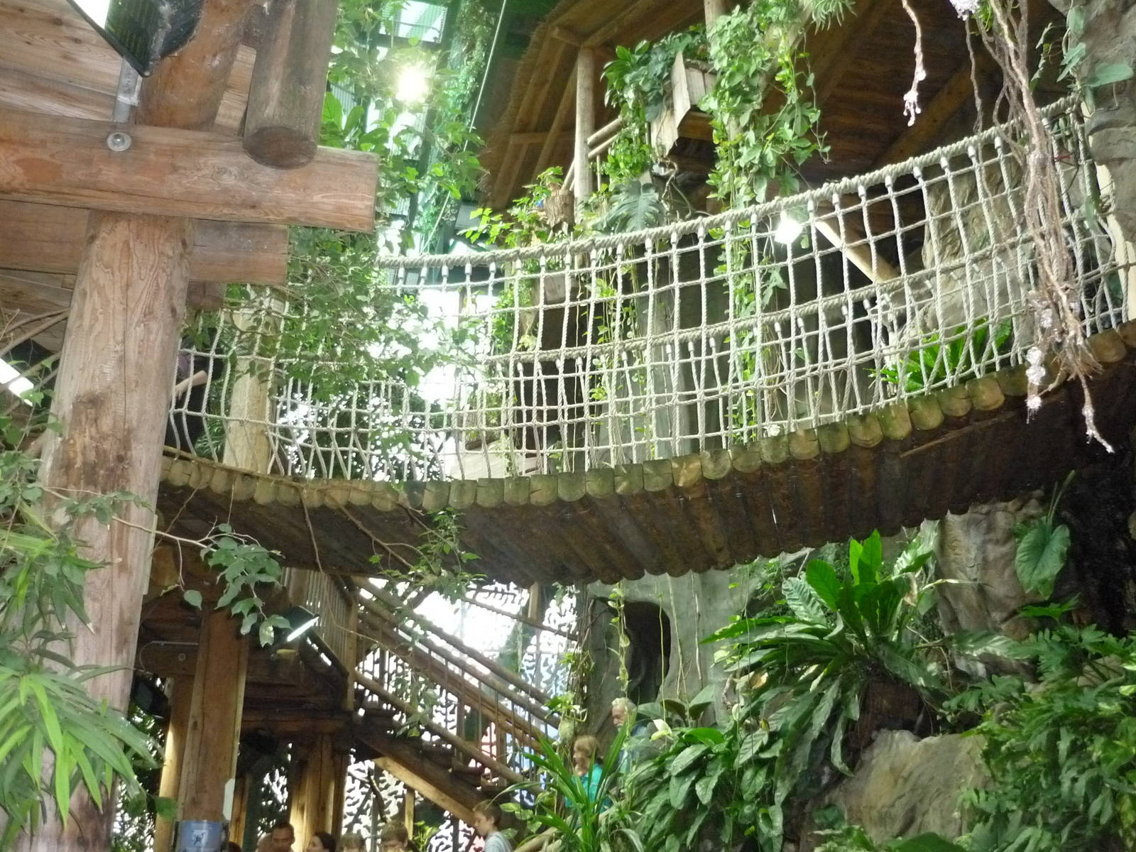 Haus des Meeres, Rainforest Exhibit