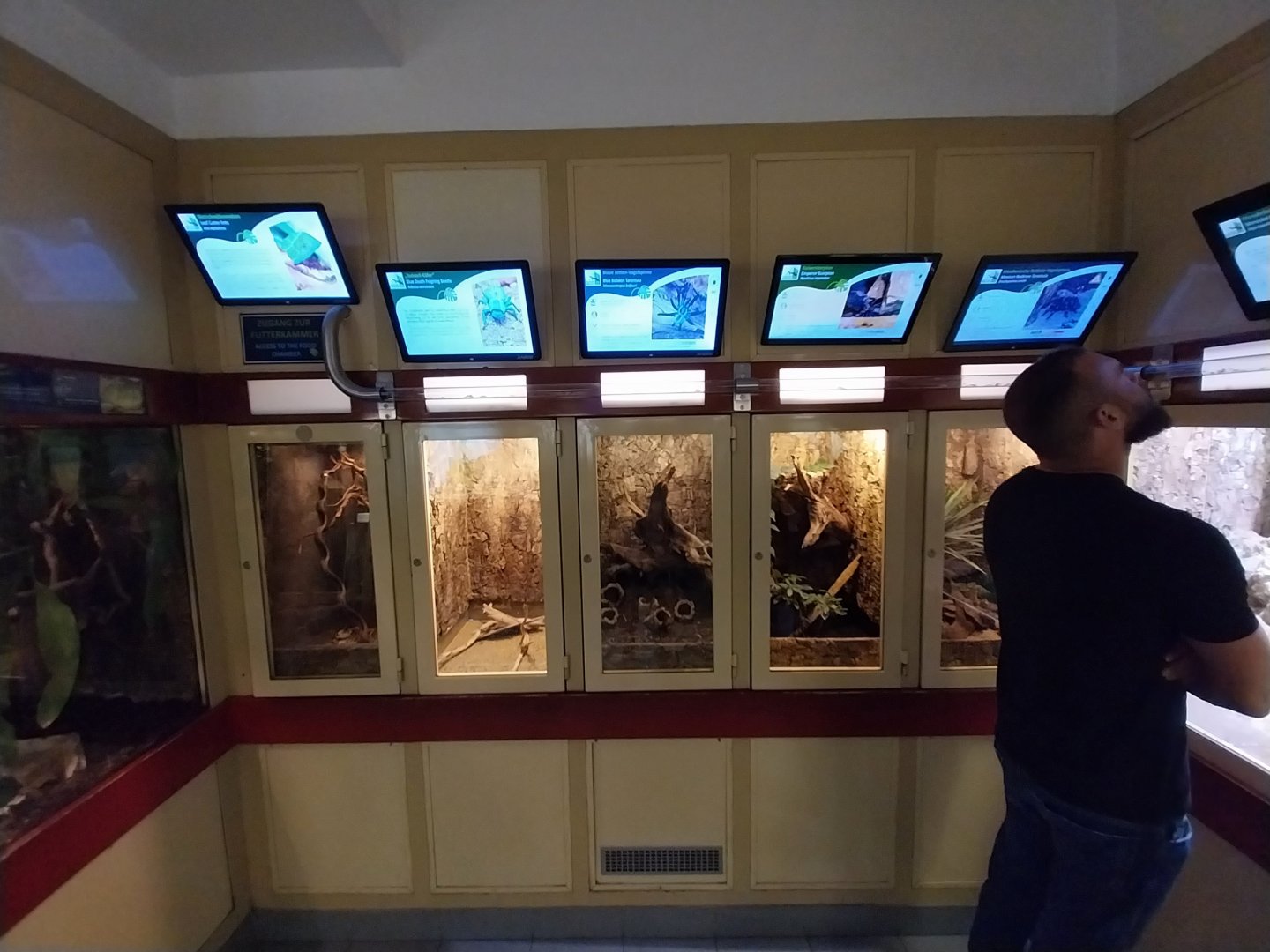 Haus des Meeres - Room for insects and spiders