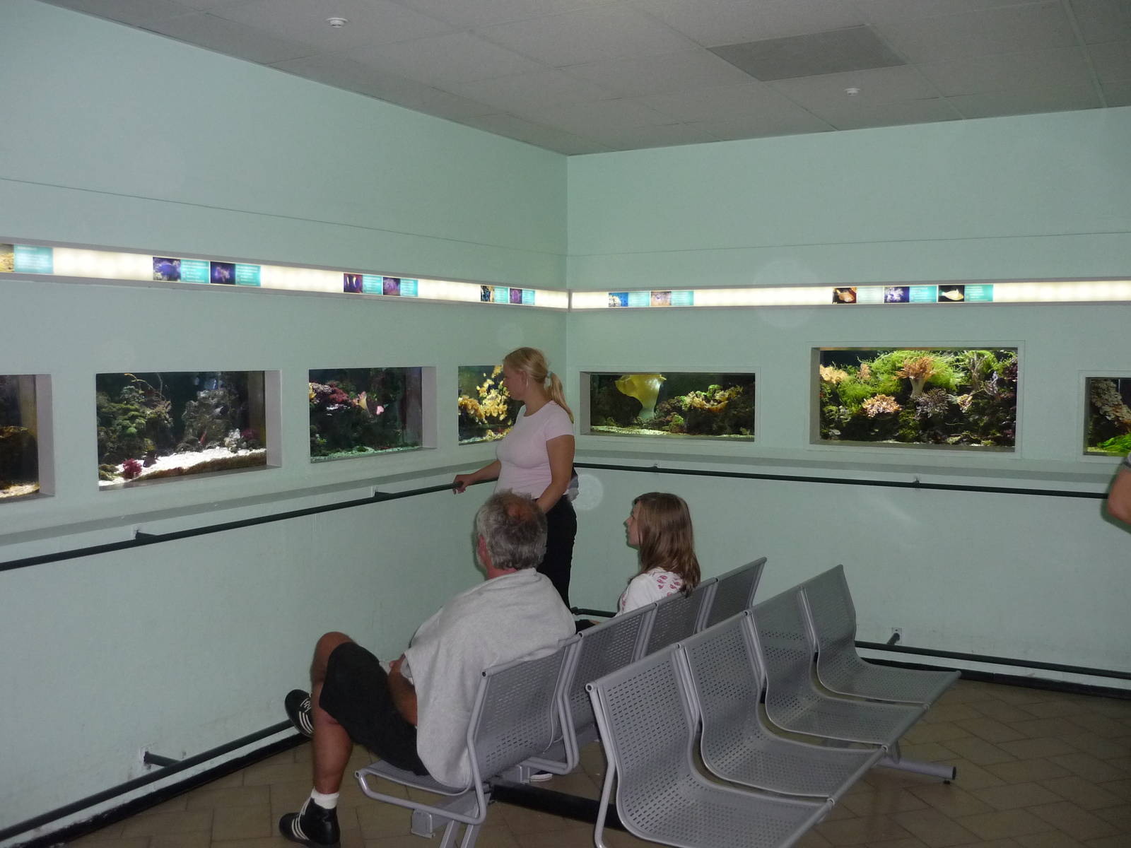 Haus des Meeres, Vienna