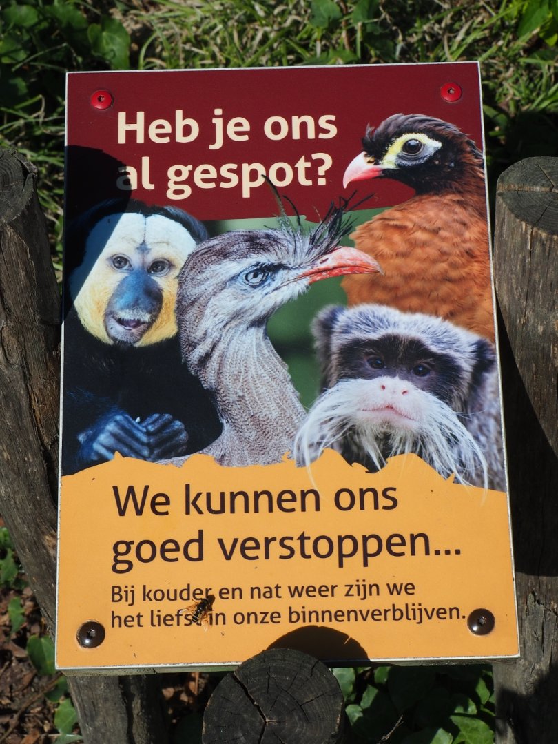 Have you seen us yet - We can hide well sign (Sep 2nd, 2018)