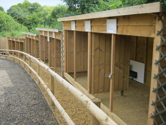 Haven Falconry Isle of Wight 2016