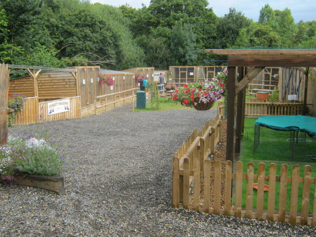 Haven Falconry Isle of Wight 2016