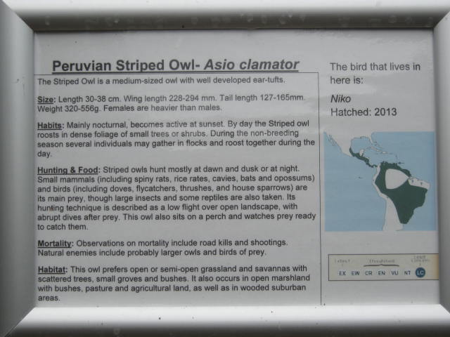 Haven Falconry Isle of Wight 2016