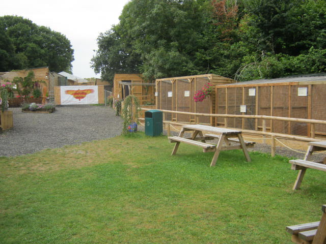 Haven Falconry Isle of Wight 2016