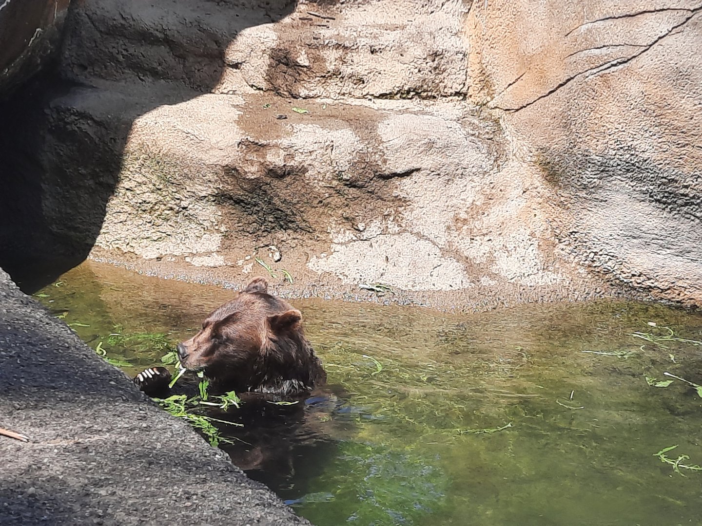 Having a snack and taking a swim