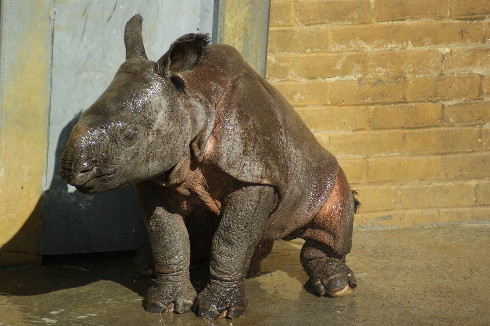 Having an outdoor shower