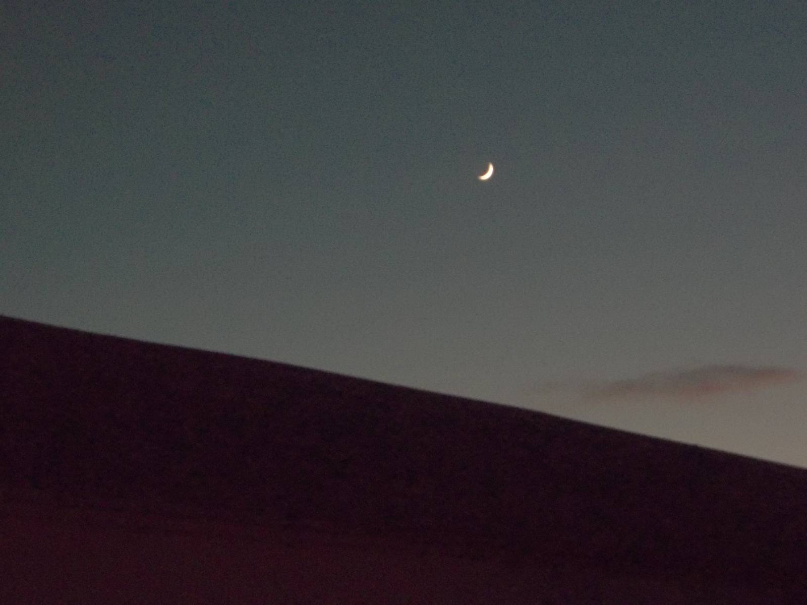 Having just left the zoo, 24th December 2014