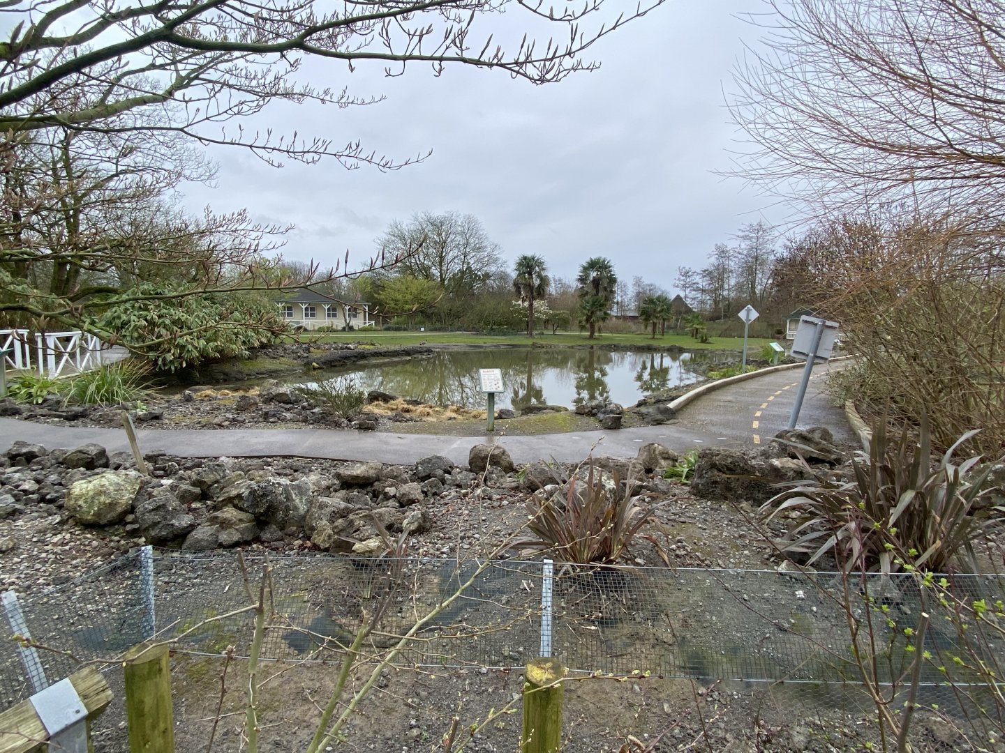 Hawaiian area 290224