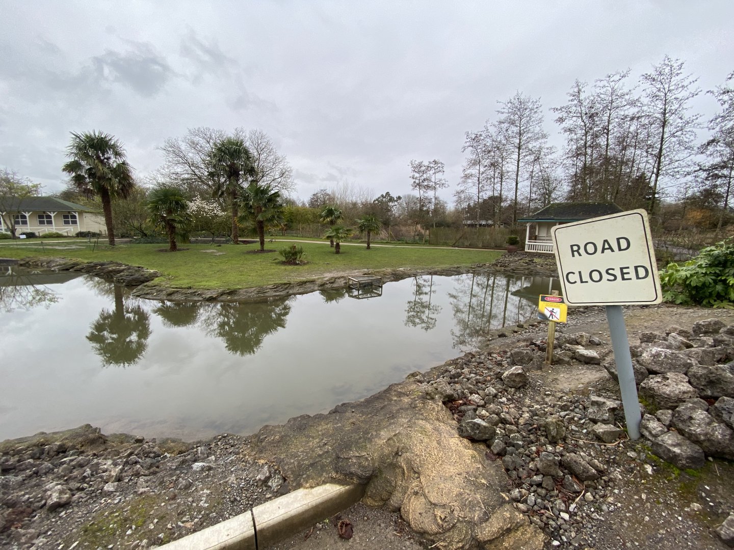 Hawaiian area 290224