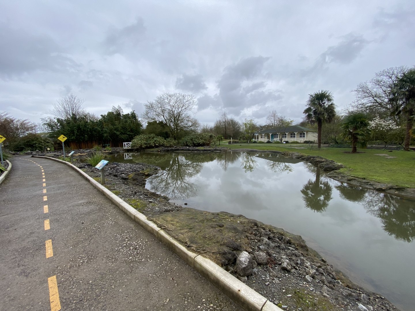 Hawaiian area 290224