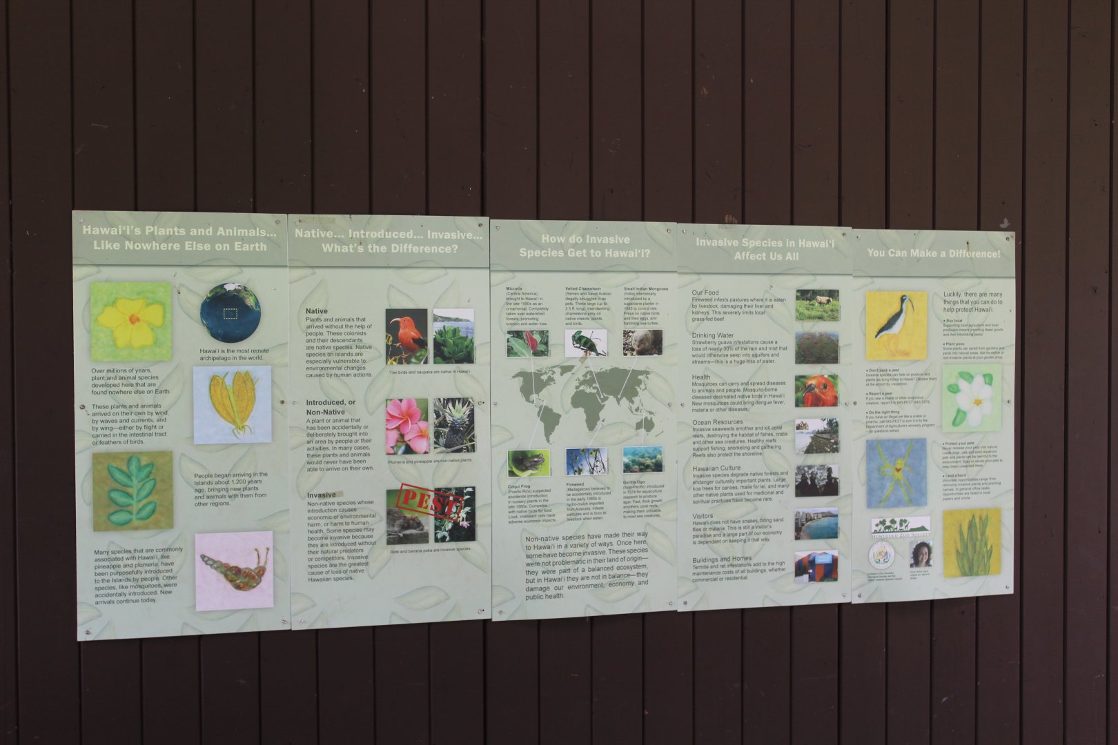 Hawaiian Conservation/Invasive Species Graphic