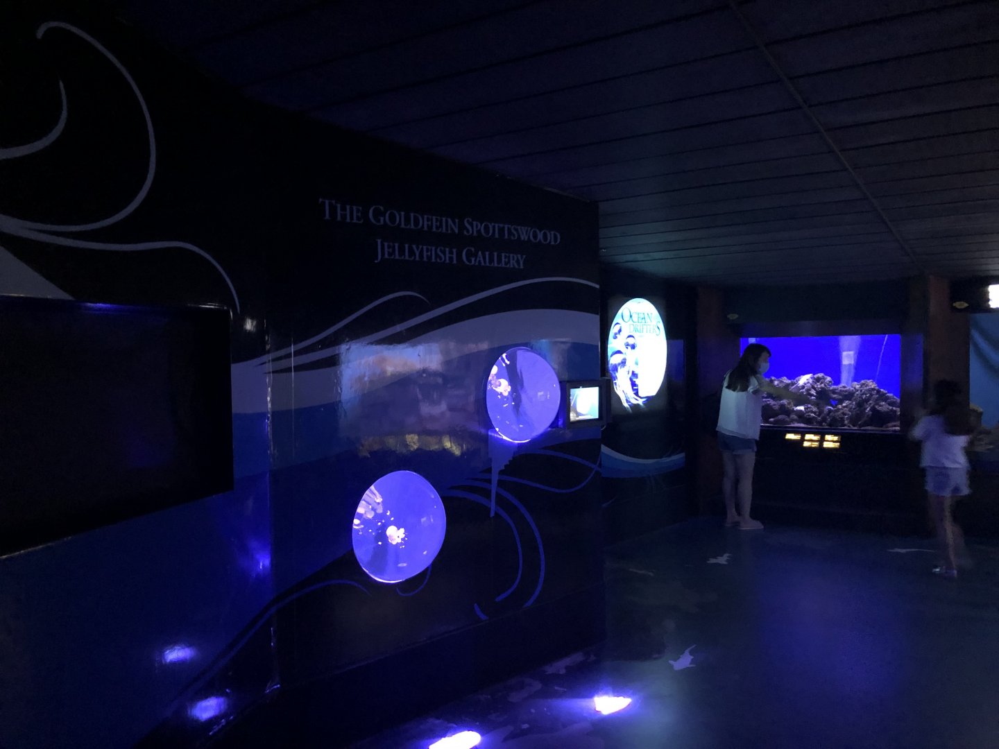 "Hawaiian Marine Communities" Gallery - Left wall