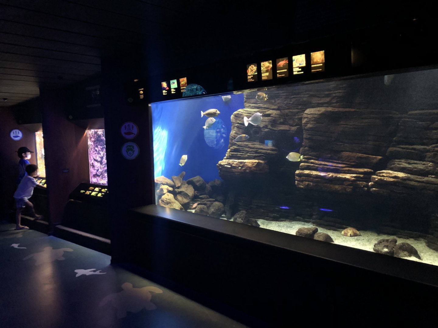 "Hawaiian Marine Communities" Gallery - Right wall