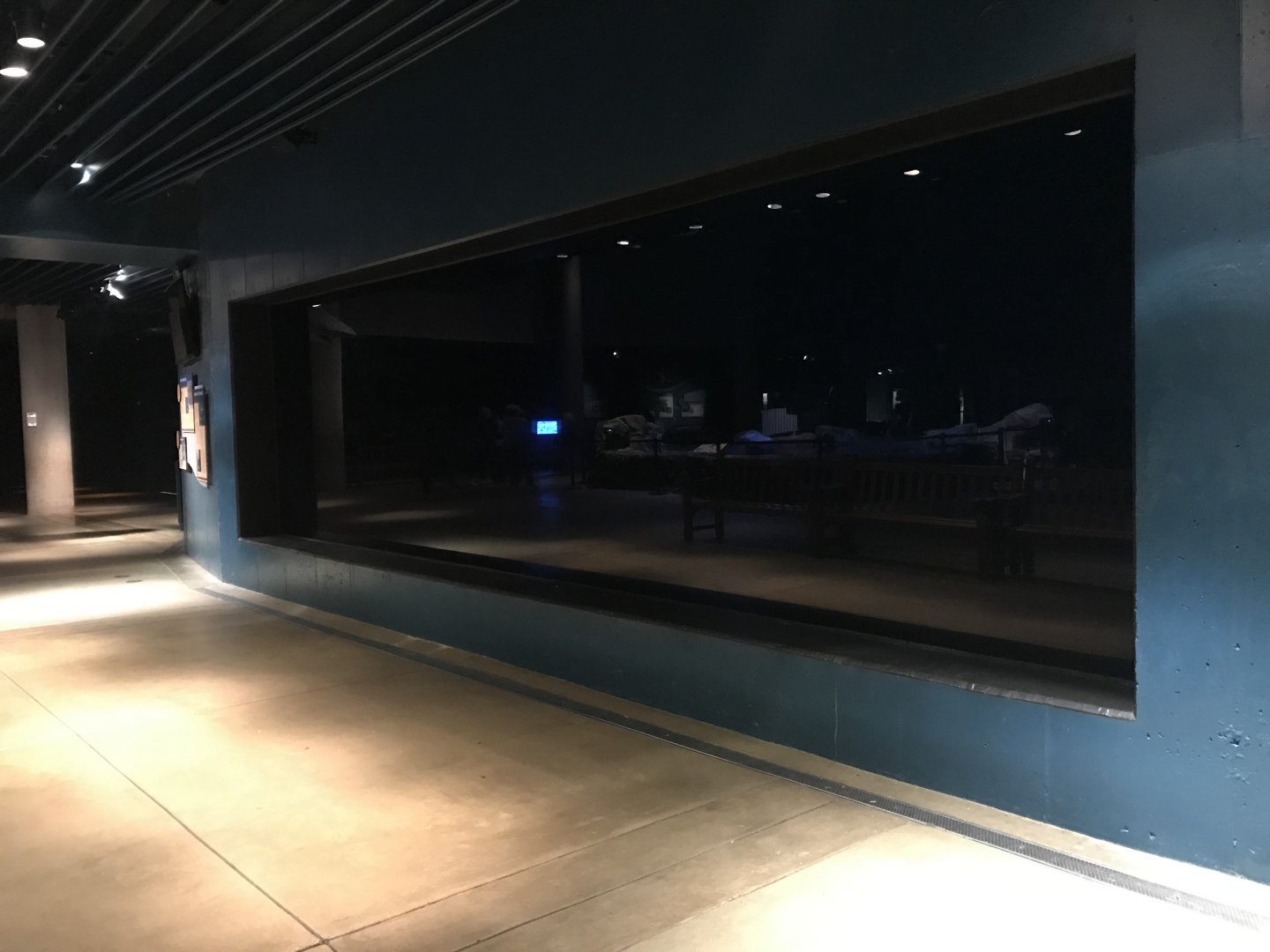 Hawaiian Monk Seal Exhibit at Night.