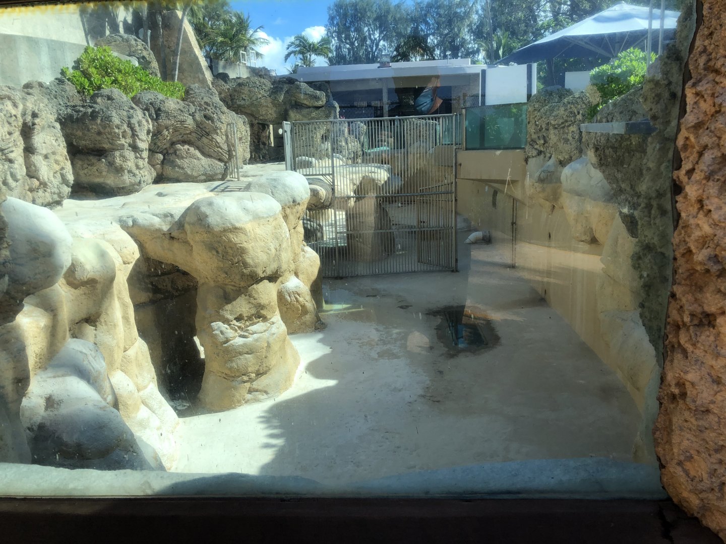 "Hawaiian Monk Seals" Exhibit - Empty
