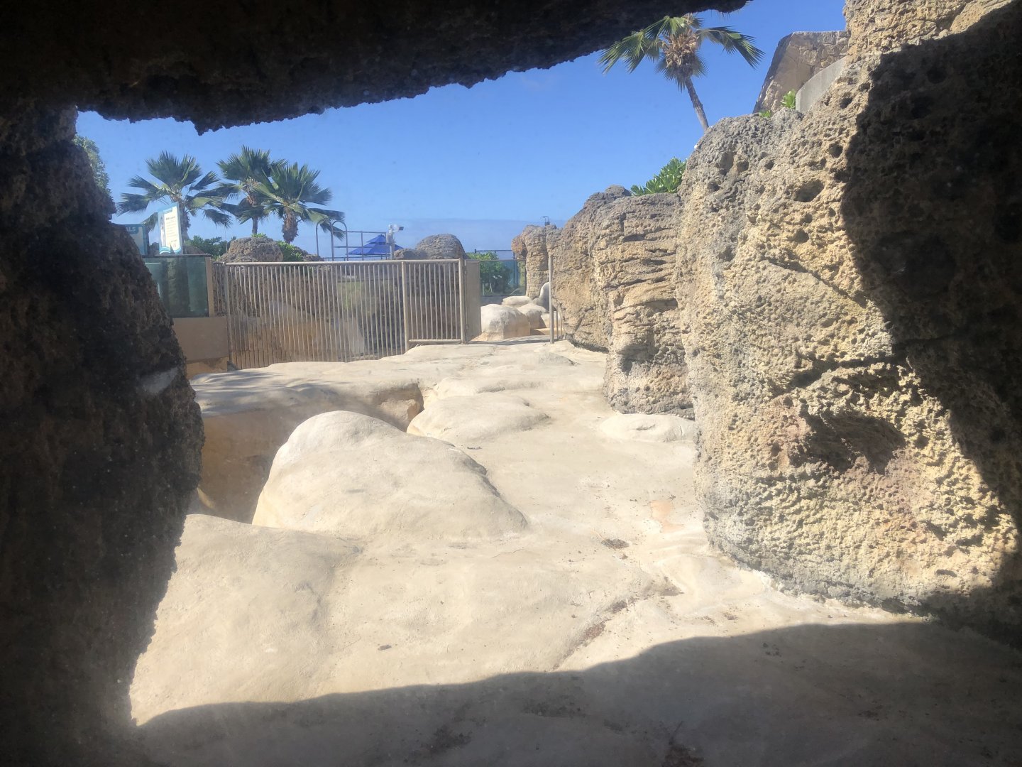 "Hawaiian Monk Seals" Exhibit - Empty