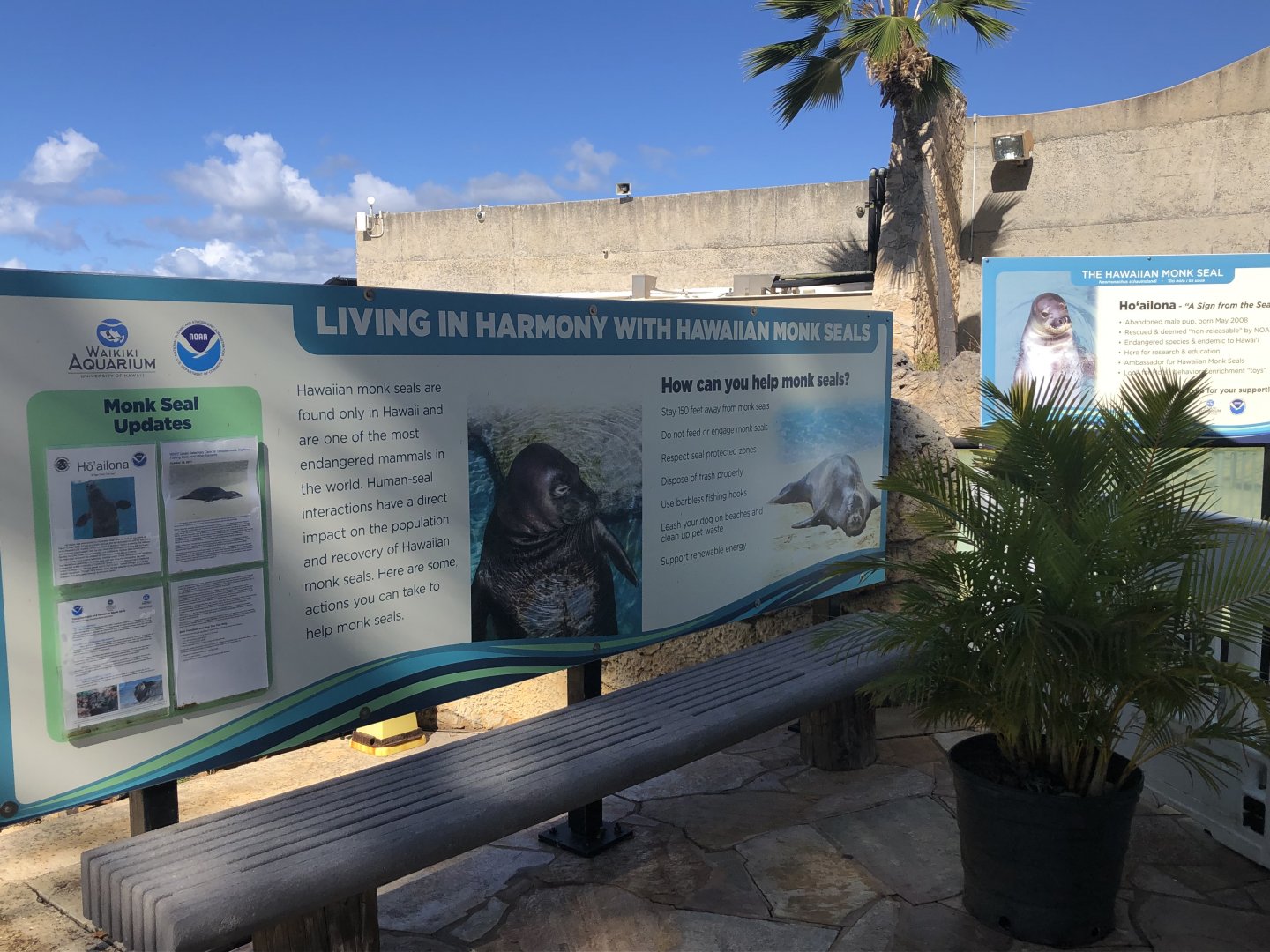 "Hawaiian Monk Seals" Exhibit Signage