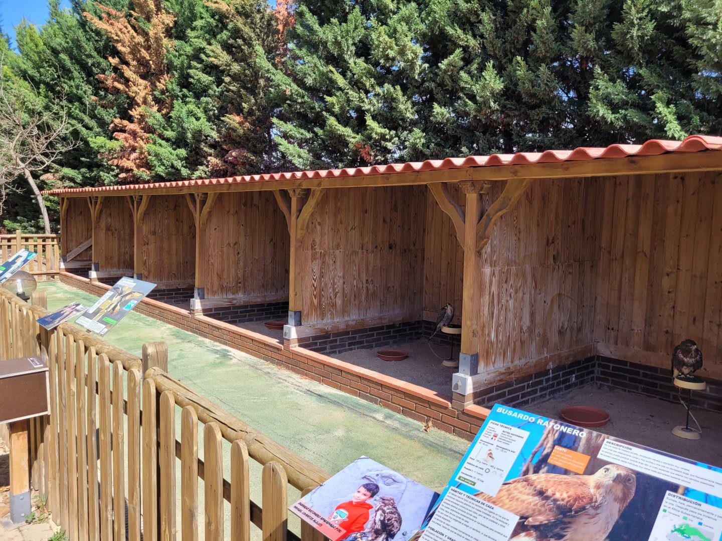 Hawk and falcon perches -Tierra Rapaz (2024)