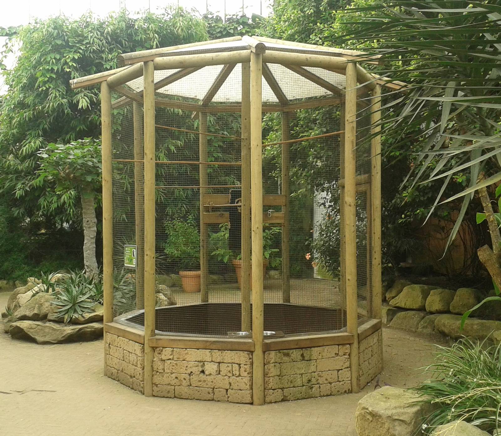 Hawk-headed parrot enclosure