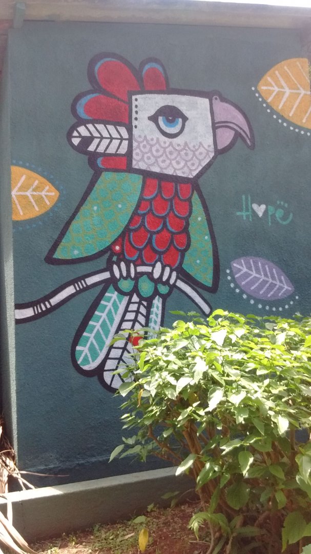 Hawk headed parrot mural