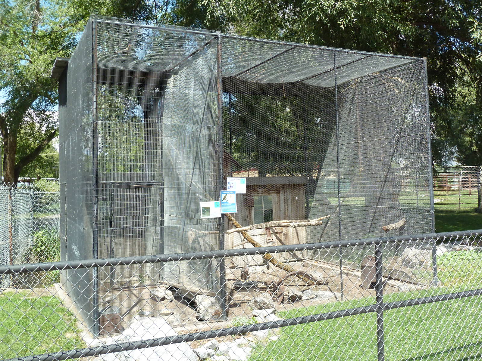 Hawk + Quail Exhibits