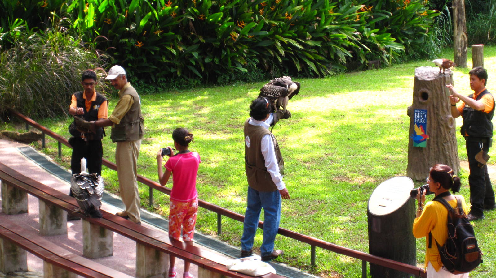 Hawk Walk - Be a Falconer program