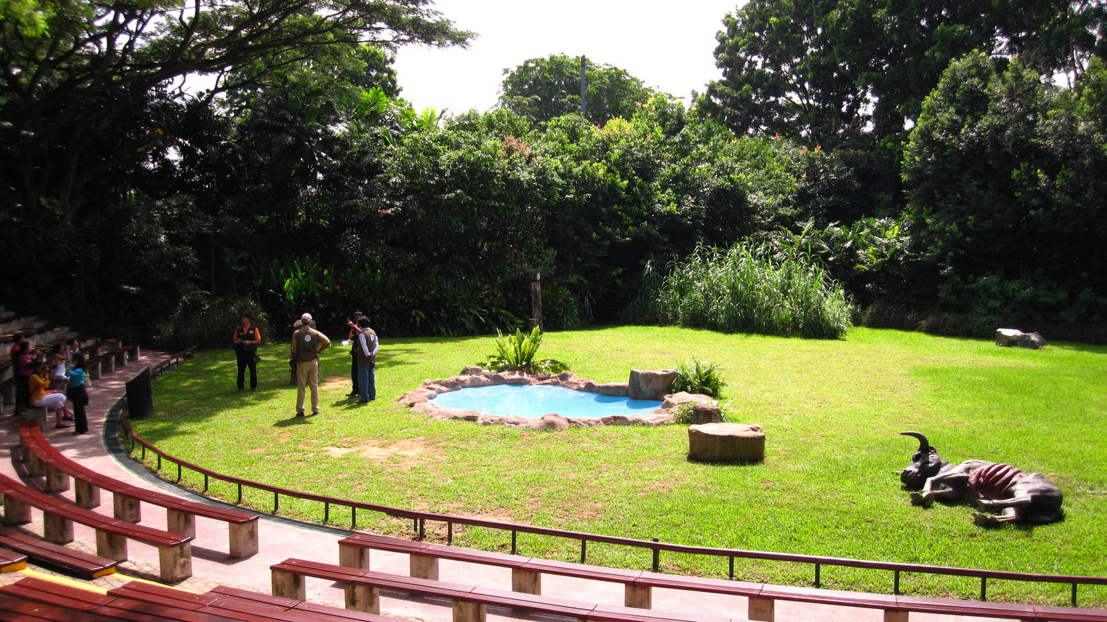 Hawk Walk - Falconry Arena