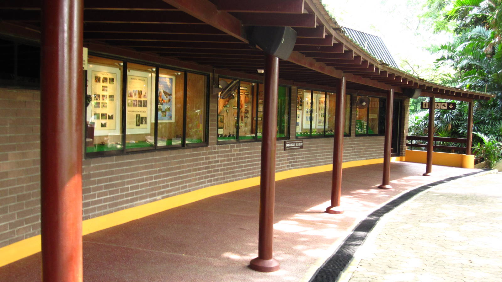 Hawk Walk - Falconry Gallery