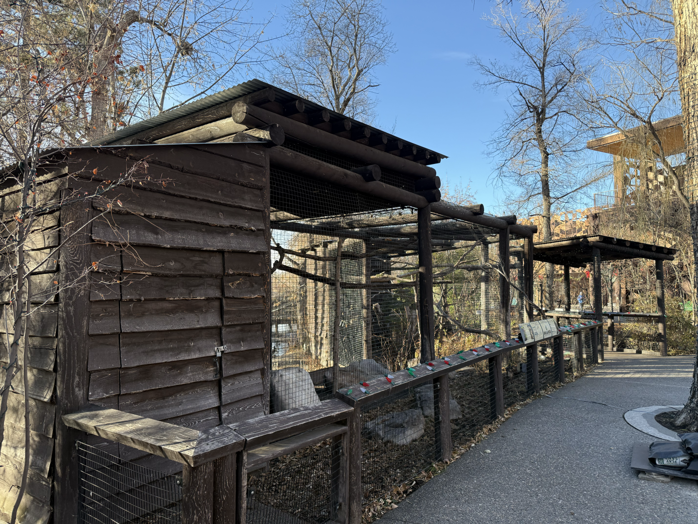 Hawks and Turkey Vultures