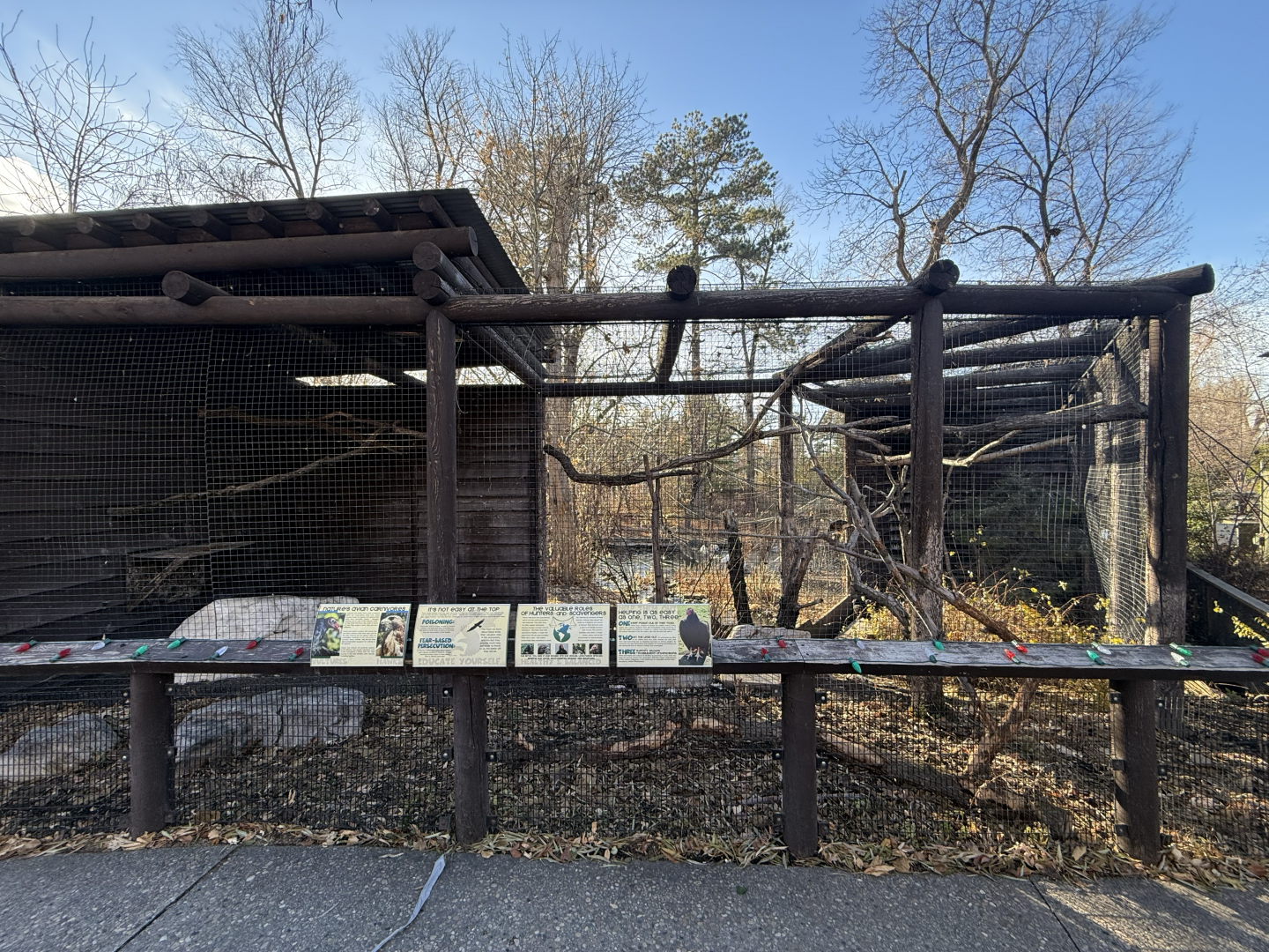 Hawks and Turkey Vultures