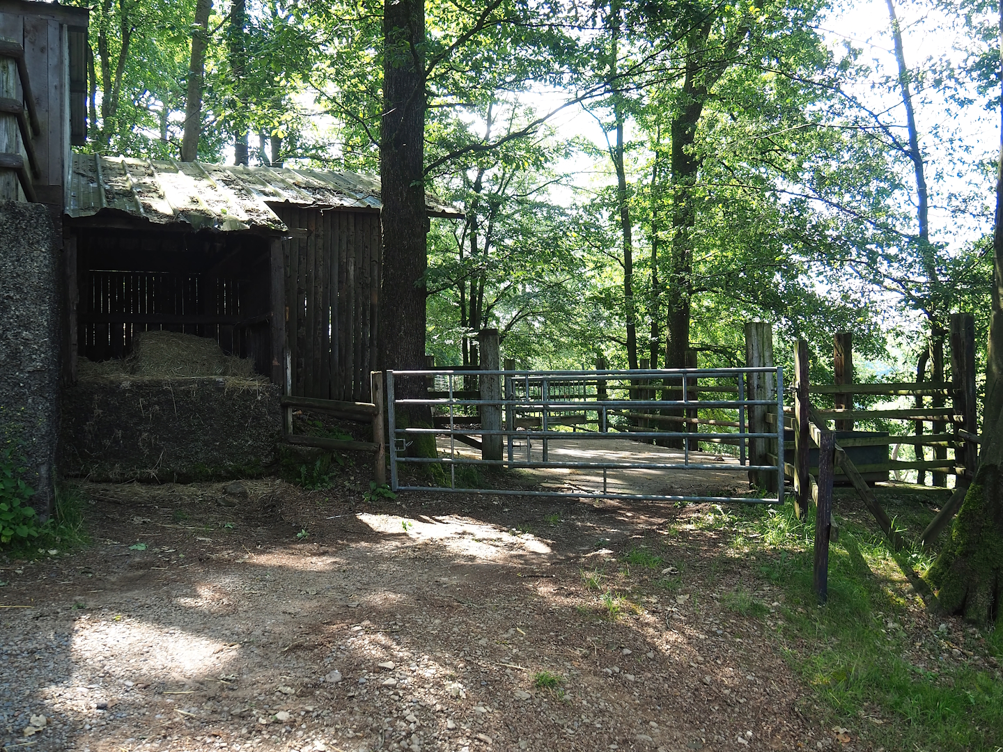 Hay storage, Zebu barn and zebu holding paddock, 2023-06-24