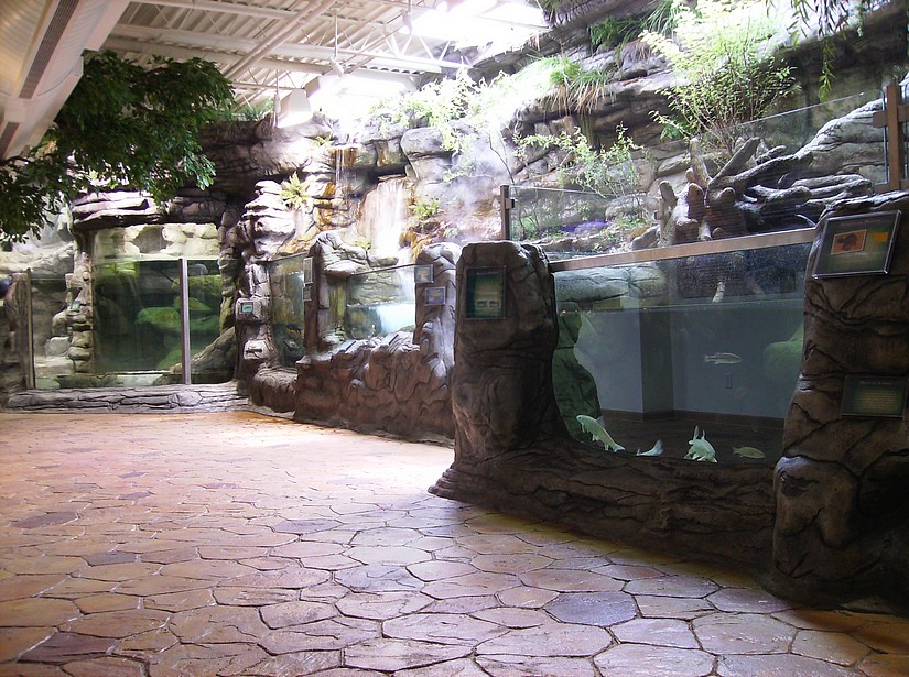 Hayes Family Ozark Stream