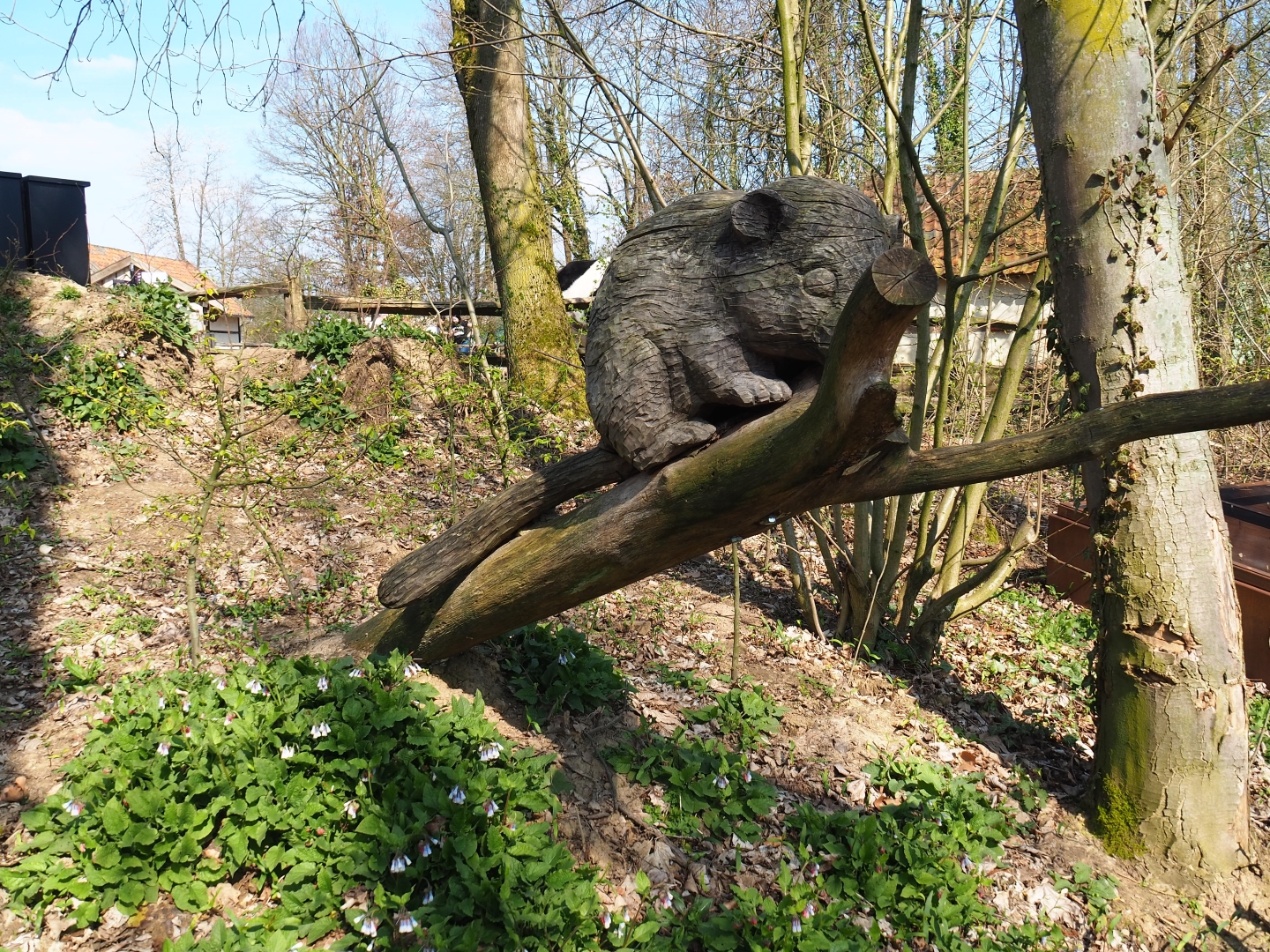 Hazel dormouse wood carving, 2019-03-30