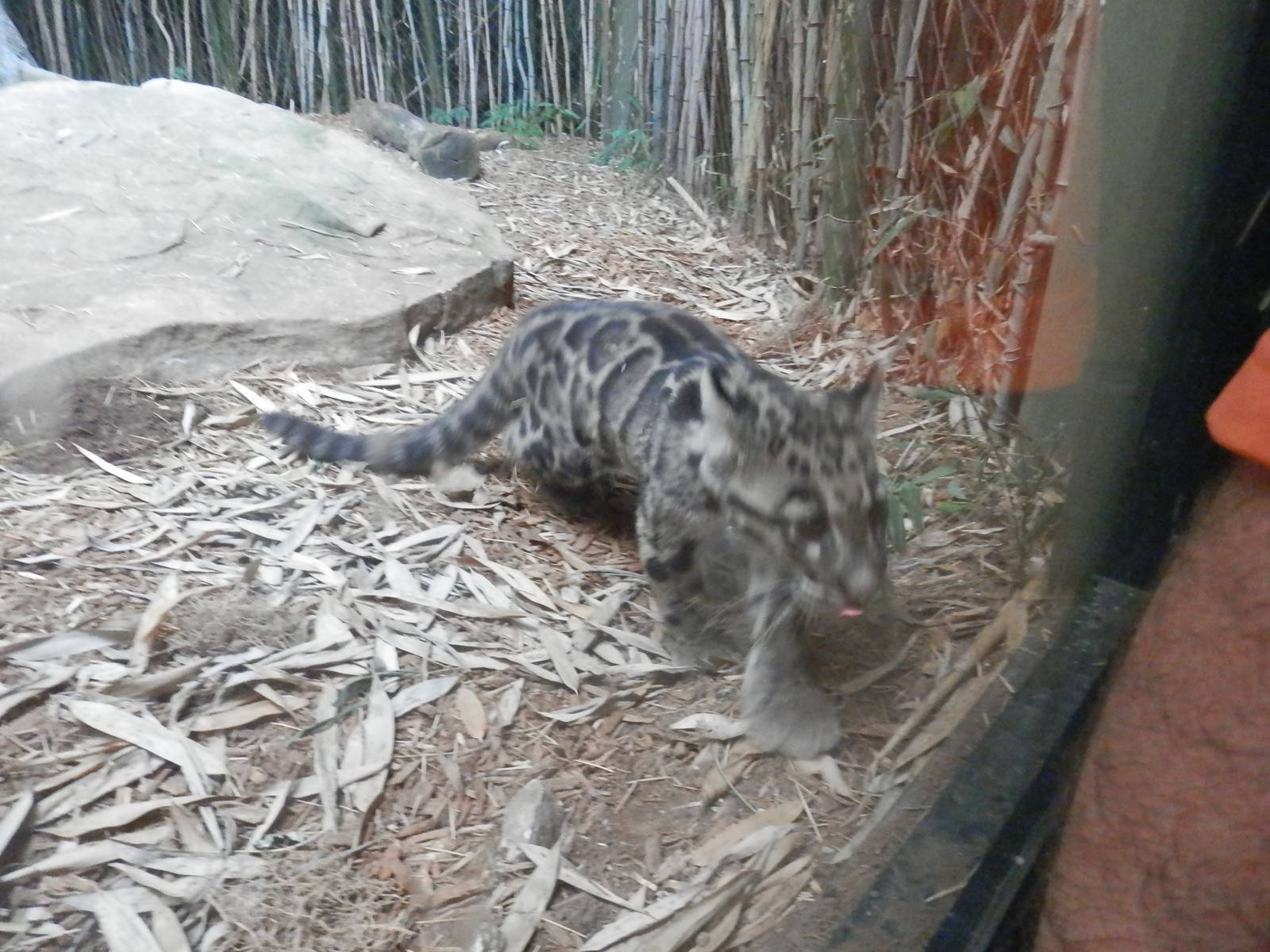 He came over to check out Marty