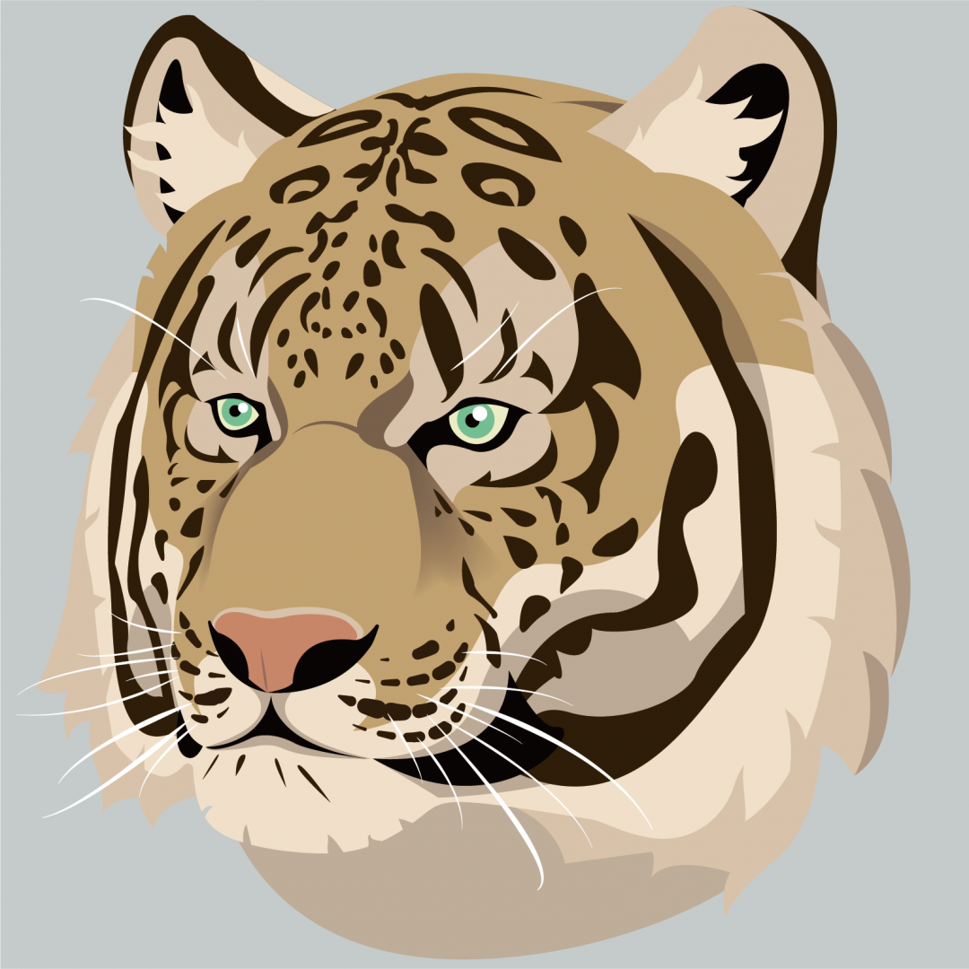 Head of amur tiger/leopard