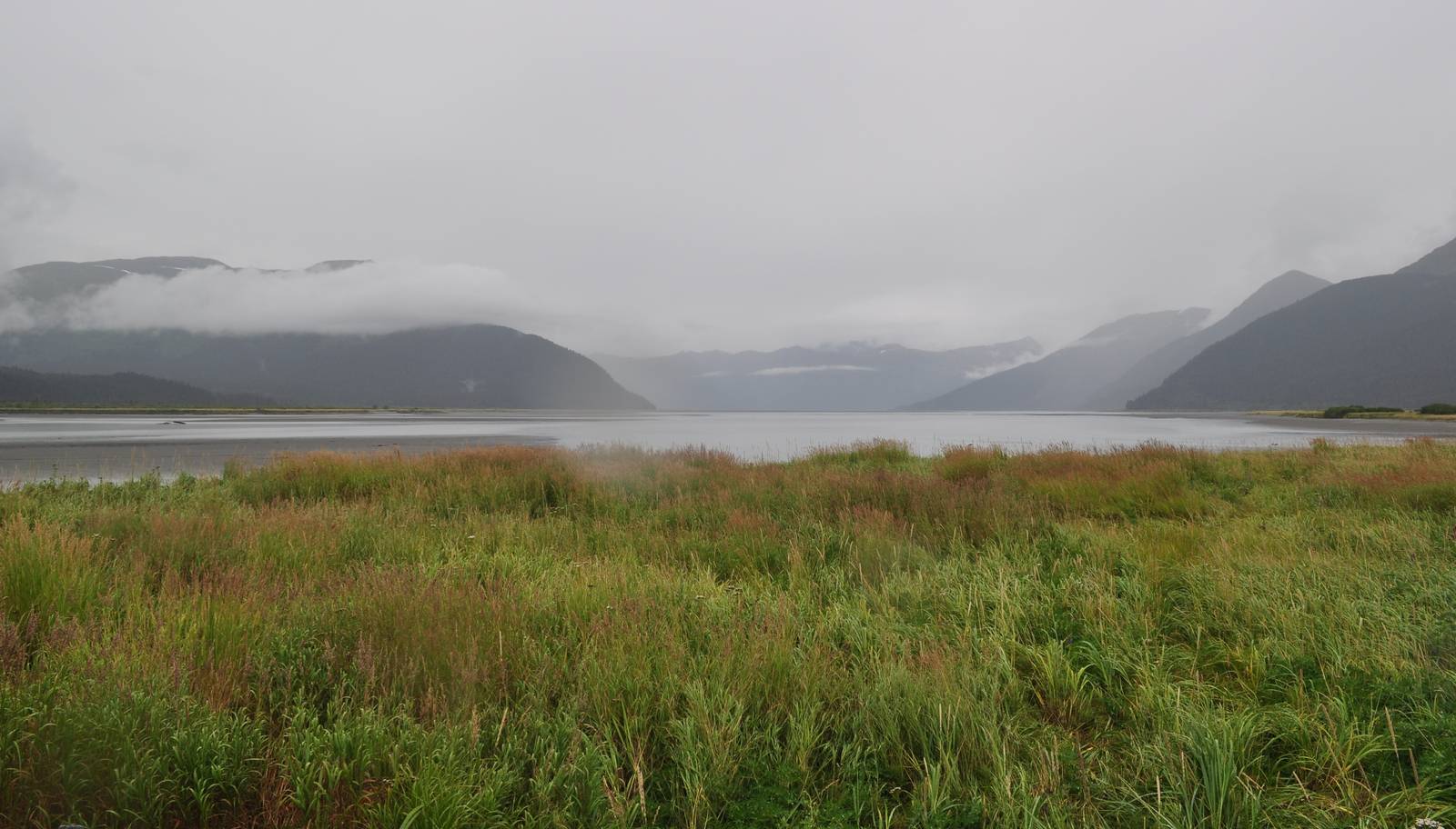 Head of Turnagain Arm near Bison Enclosures