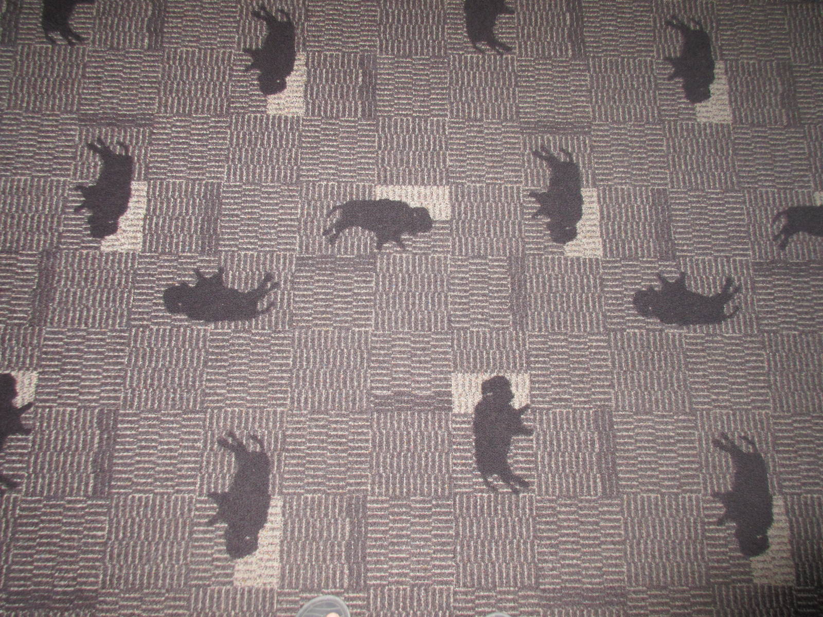 Head-Smashed-In Buffalo Jump - Bison Carpet (throughout the entire 5 levels