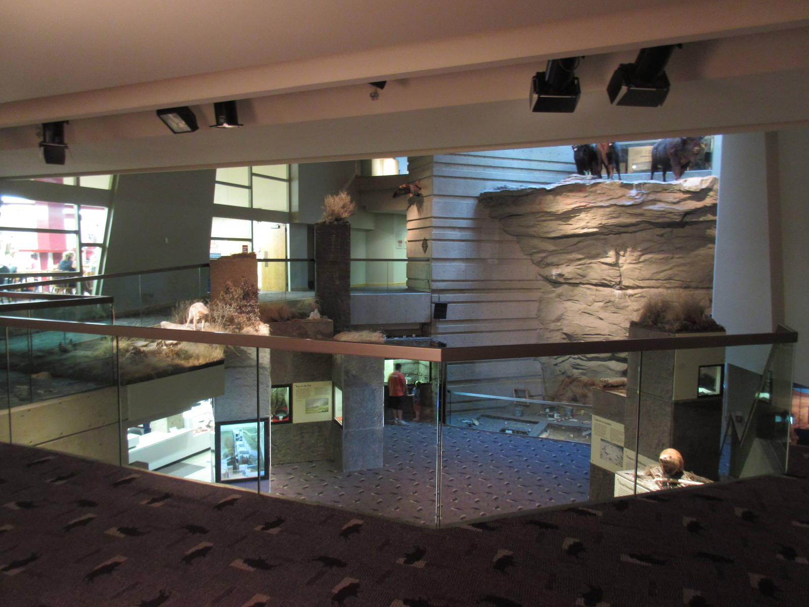 Head-Smashed-In Buffalo Jump - View from Mezzanine Level