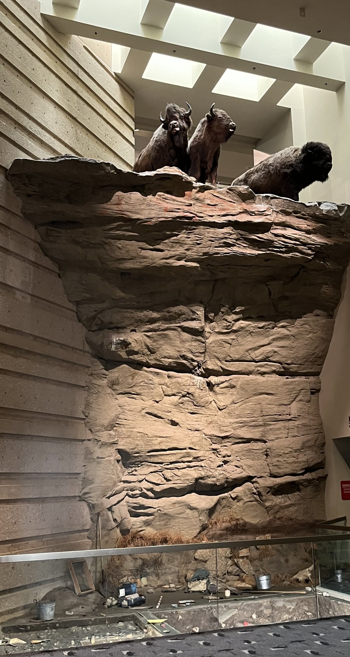 Head Smashed in Buffalo Jump