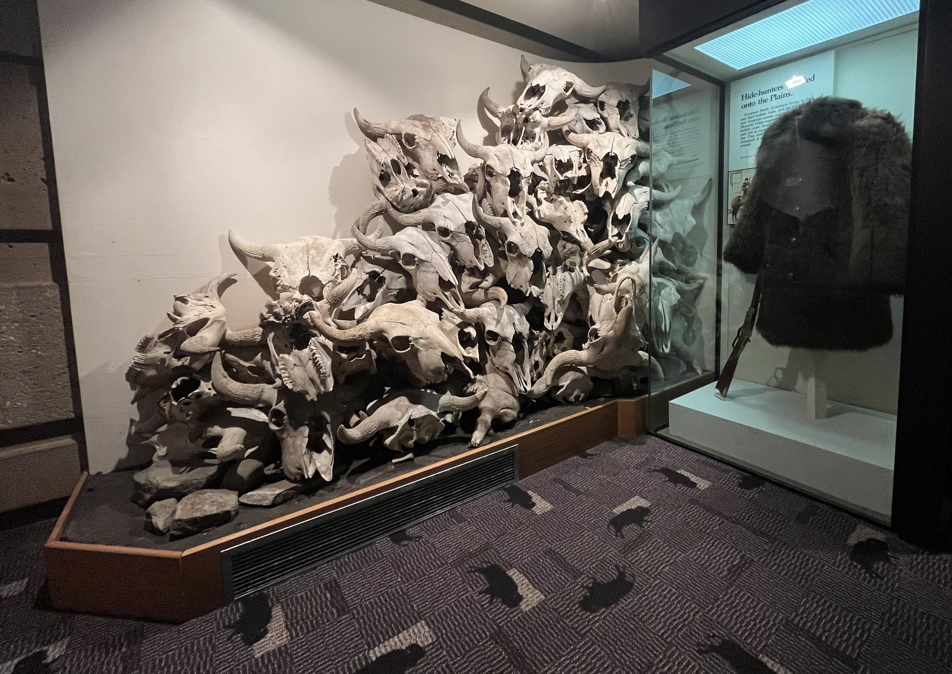 Head Smashed in Buffalo Jump