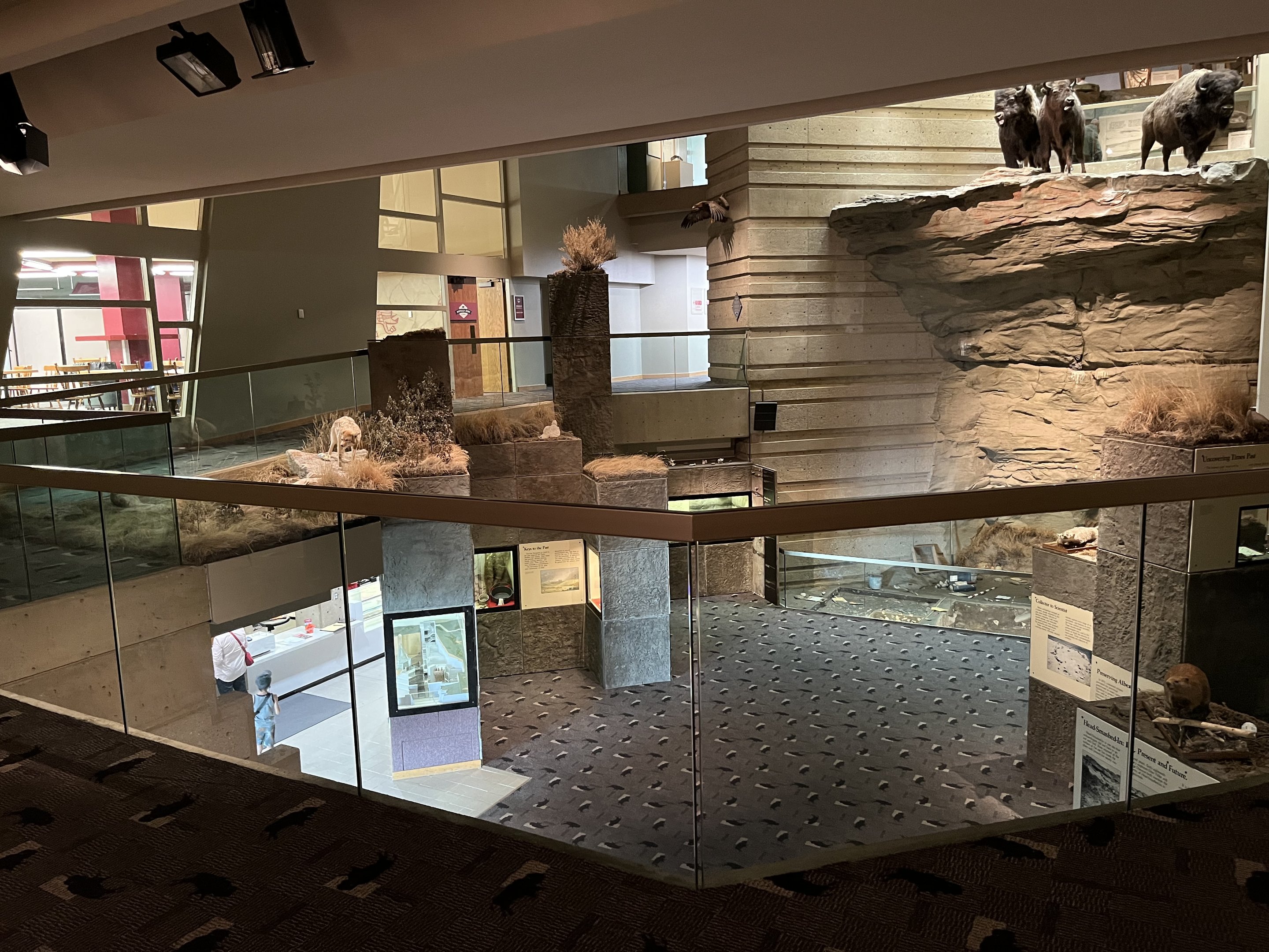 Head Smashed in Buffalo Jump