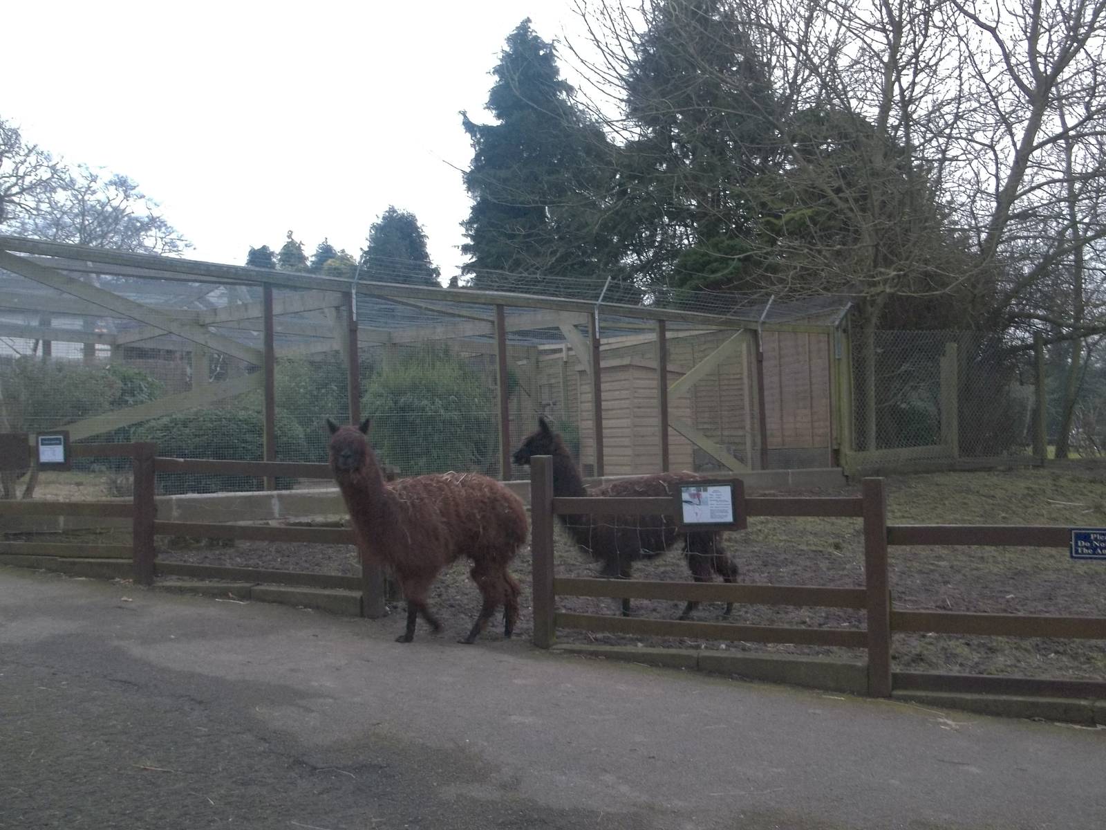 Heading for bed, 13th February 2015