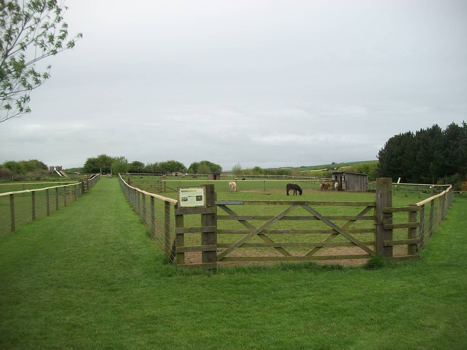 Heading for the paddocks area, 1st May 2014