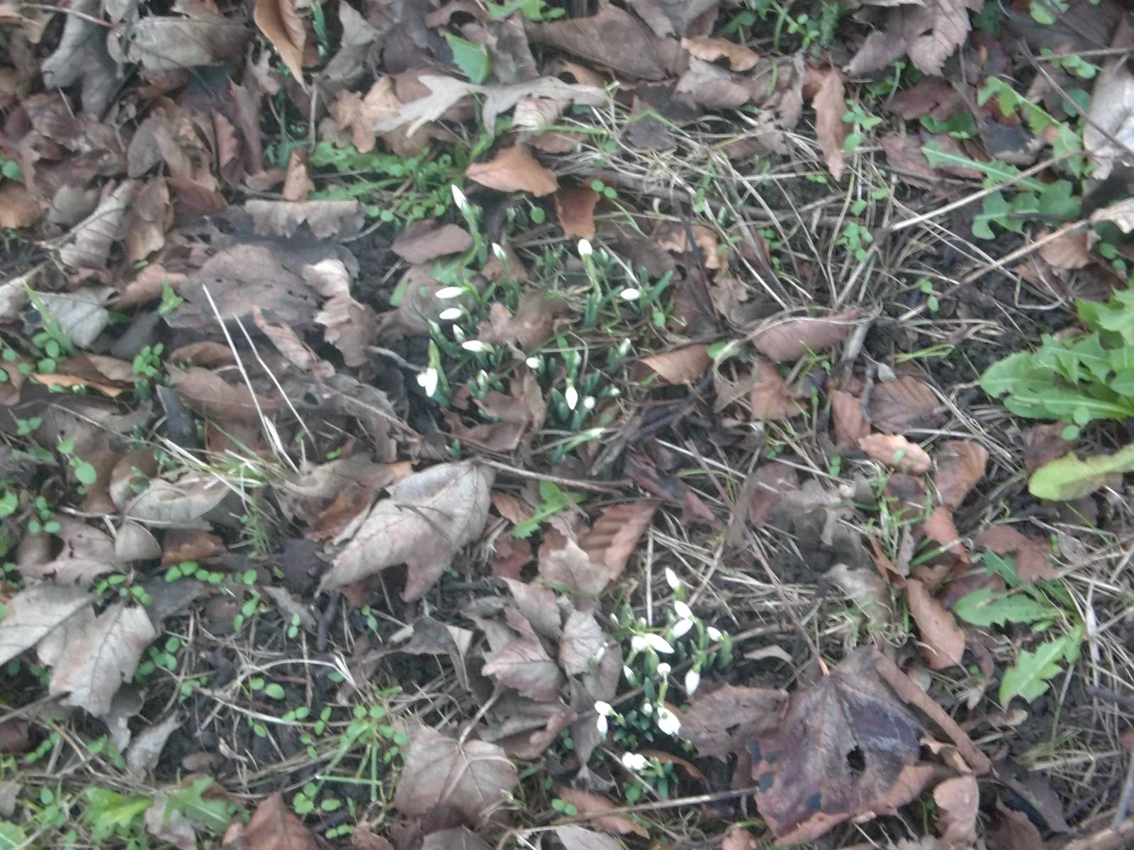 Heading in the right direction, 20th January 2015