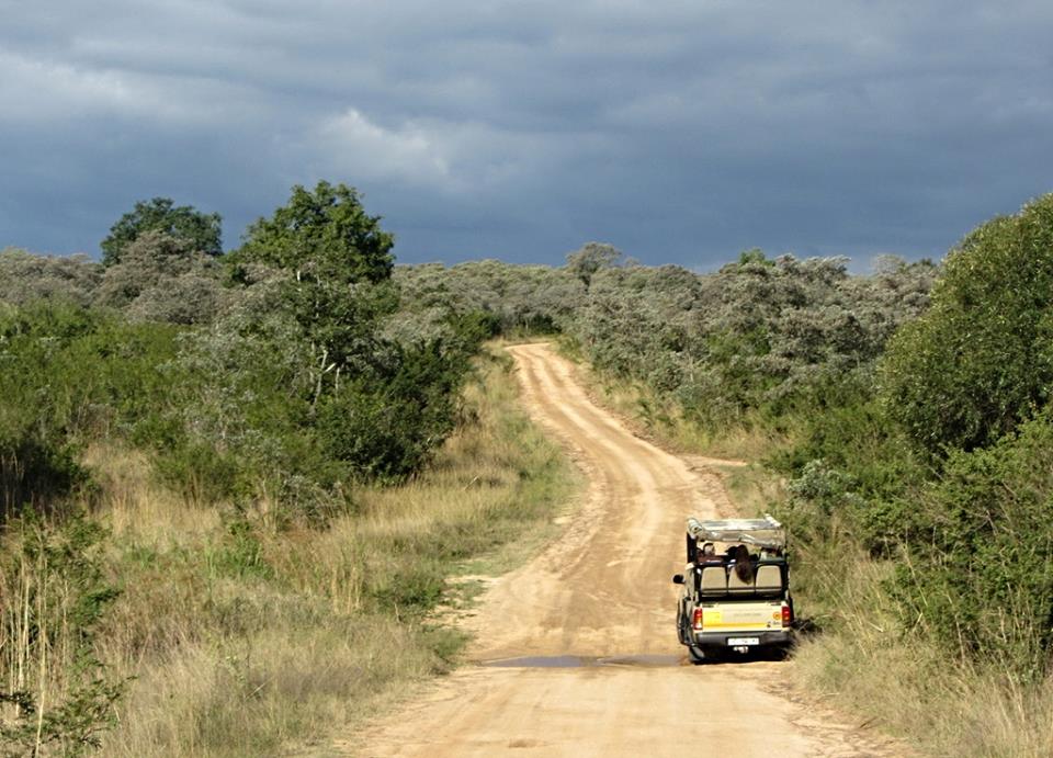 Heading Out on Safari