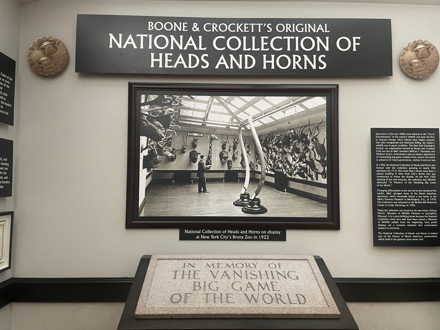 Heads and Horns Room