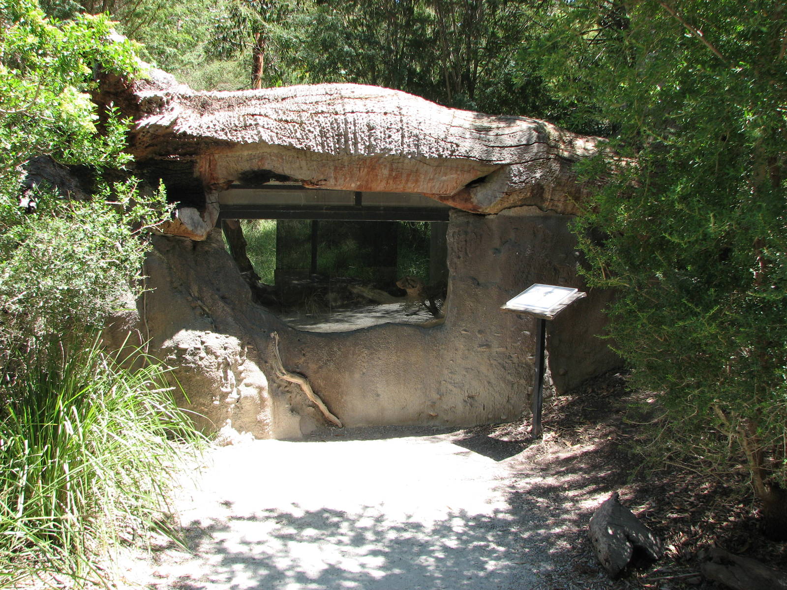 Healesville Sanctuary - Brown Snake exhibit?