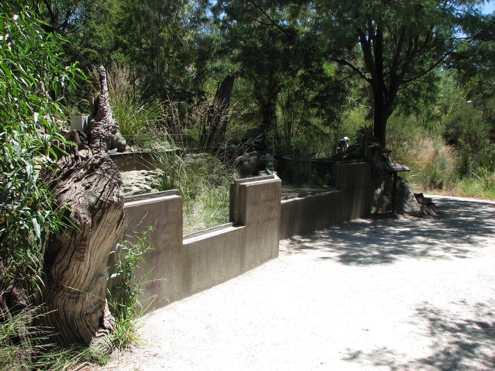 Healesville Sanctuary - Goana exhibit?