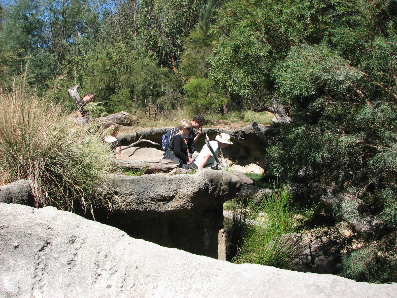 Healesville Sanctuary - Goana exhibit?