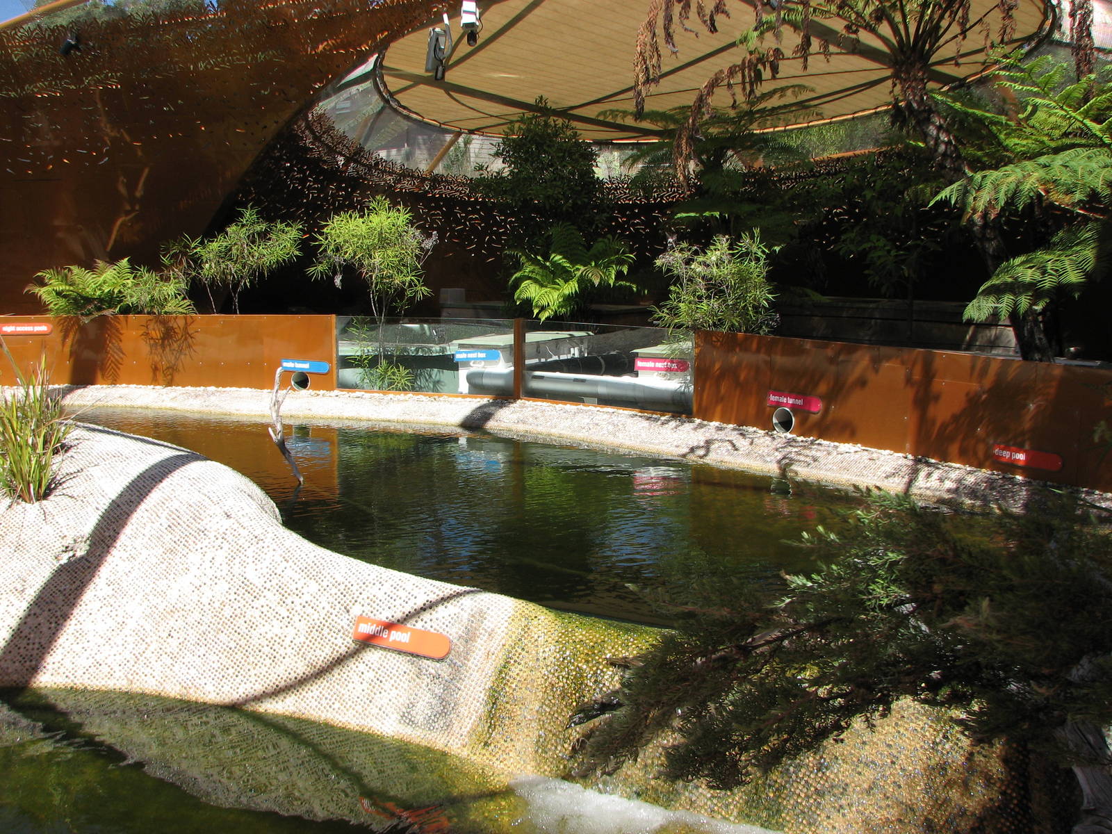 Healesville Sanctuary - Inside the Platypus breeding station